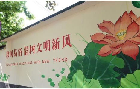 隆林乡村文化墙