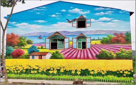 隆林乡村墙体彩绘